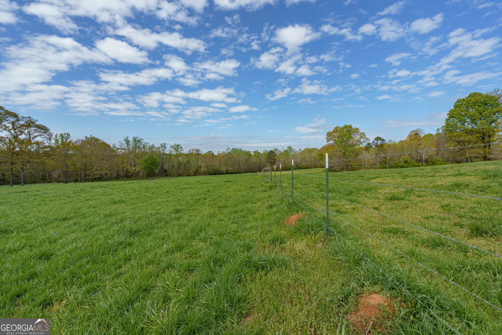 1291 Apalachee River Road Madison, GA 30650 - Photo 77 of 84 a view of a big yard with plants and large trees