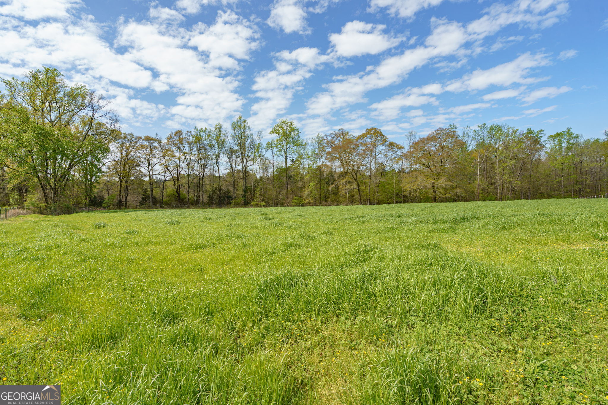 1291 Apalachee River Road Madison, GA 30650 - Photo 79 of 84 a view of yard with green space