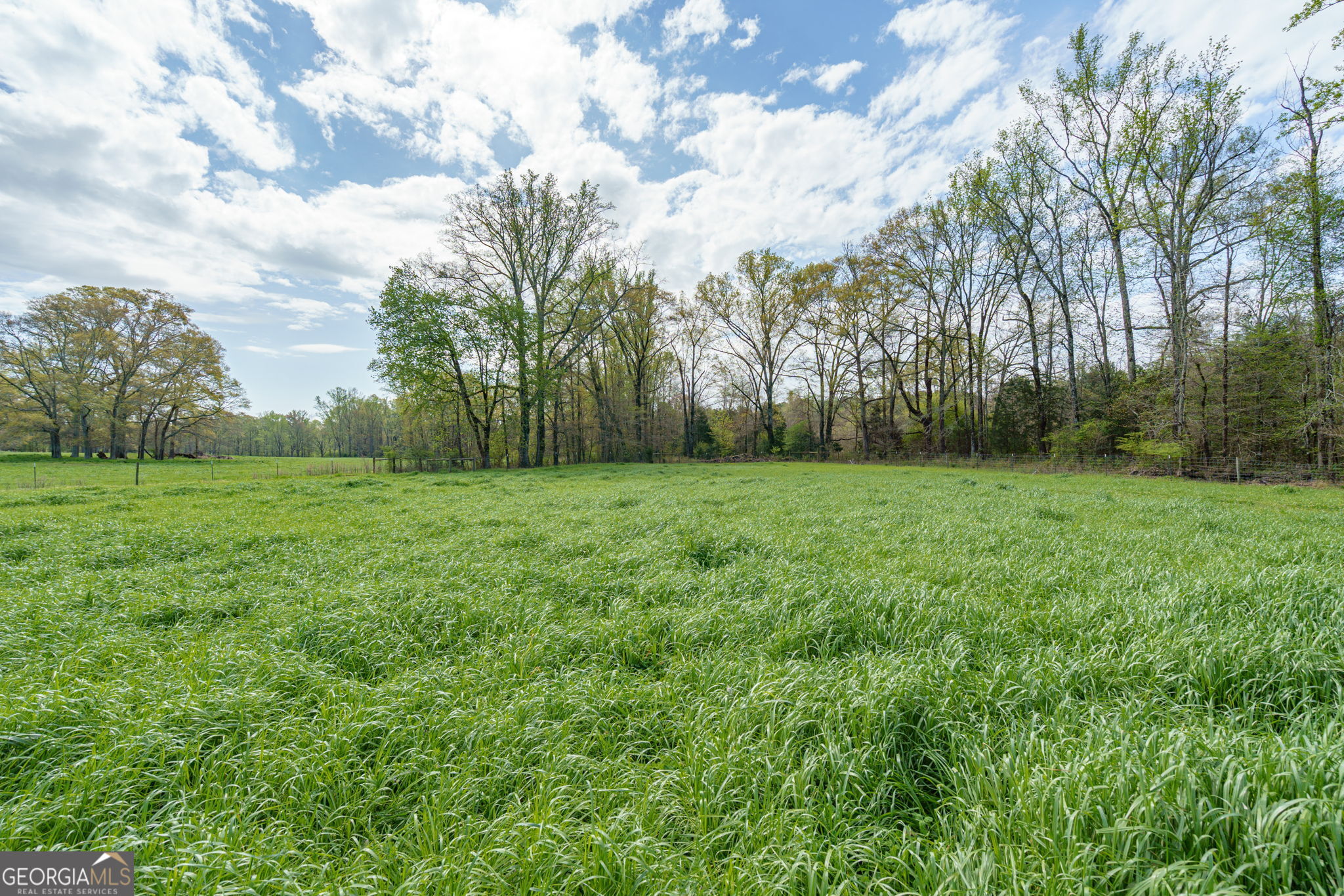 1291 Apalachee River Road Madison, GA 30650 - Photo 80 of 84 a view of a grassy field