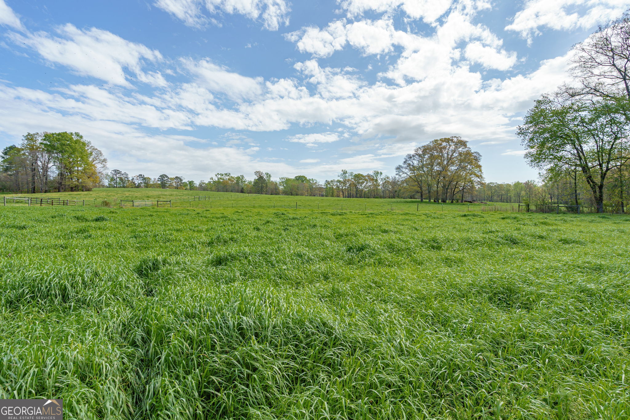 1291 Apalachee River Road Madison, GA 30650 - Photo 81 of 84 a view of a big yard with plants and a large tree