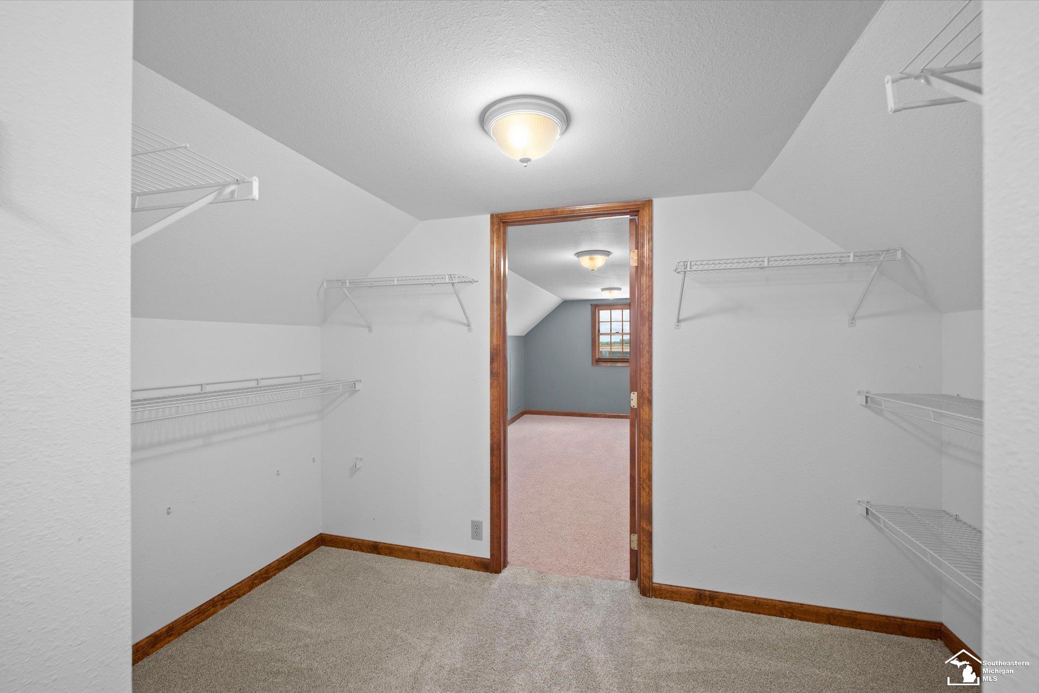 8911 Schroeder Road Riga, MI 49276 - Photo 41 of 68