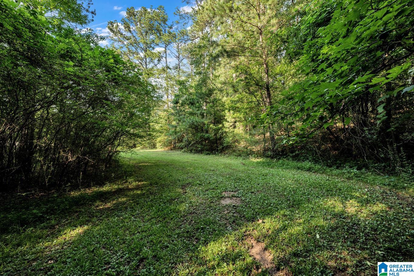 1431 Empire Road Empire, AL 35063 - Photo 6 of 37