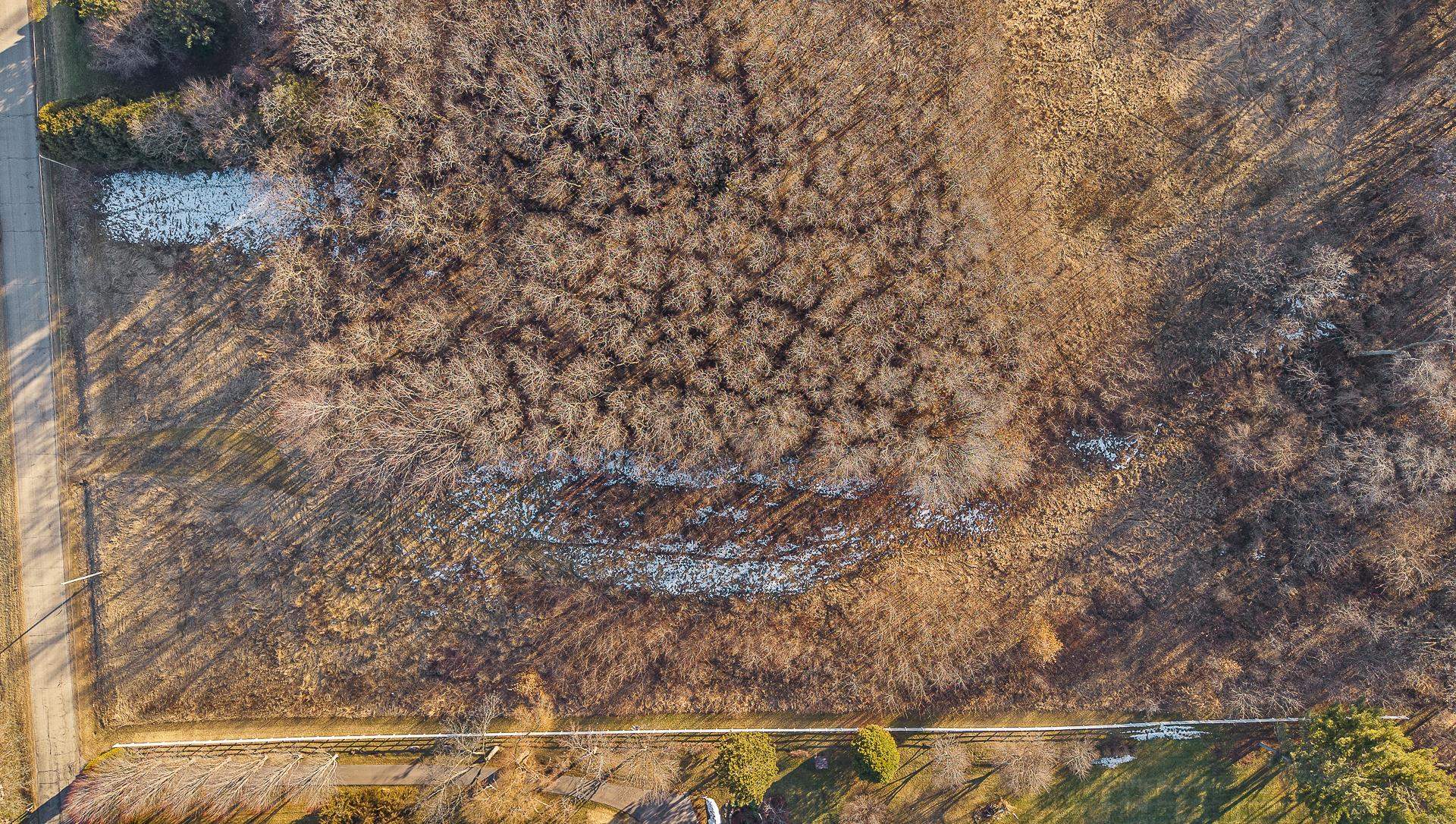 L1 Flint Stoughton, WI 53589 - Photo 4 of 7