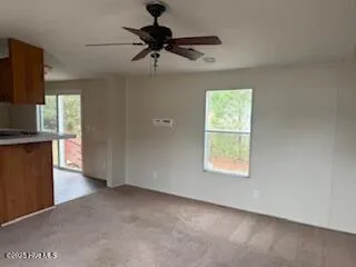 $1,195 | 315 Collins Street, Jacksonville, NC 28540