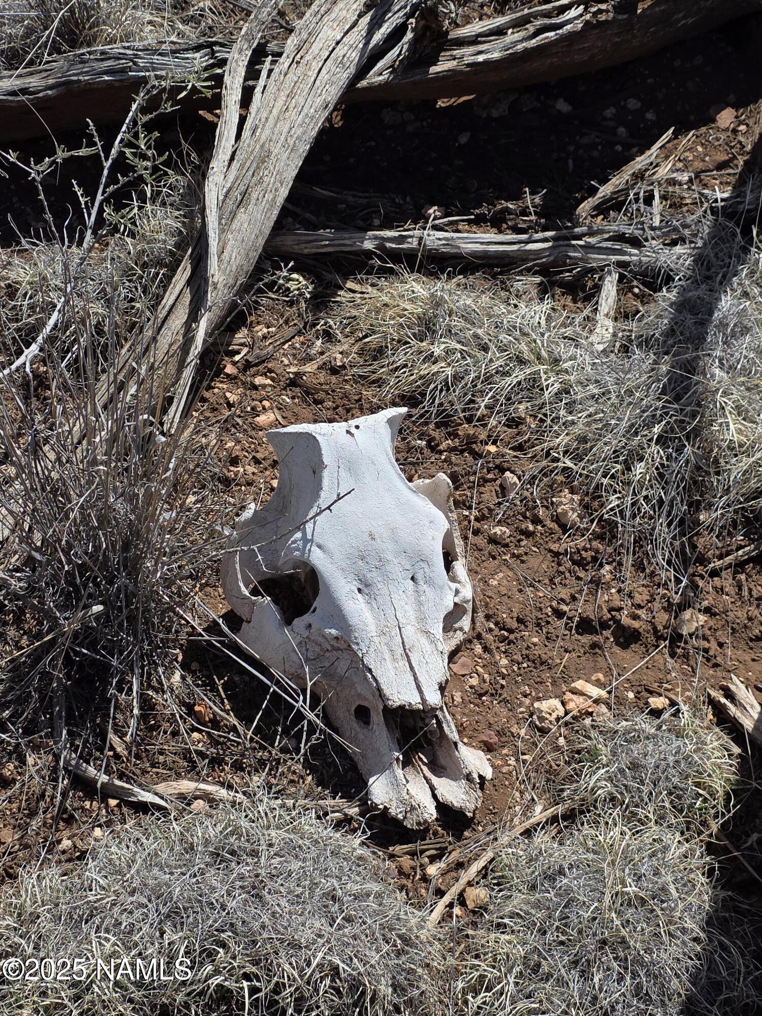 a view of an outdoor space