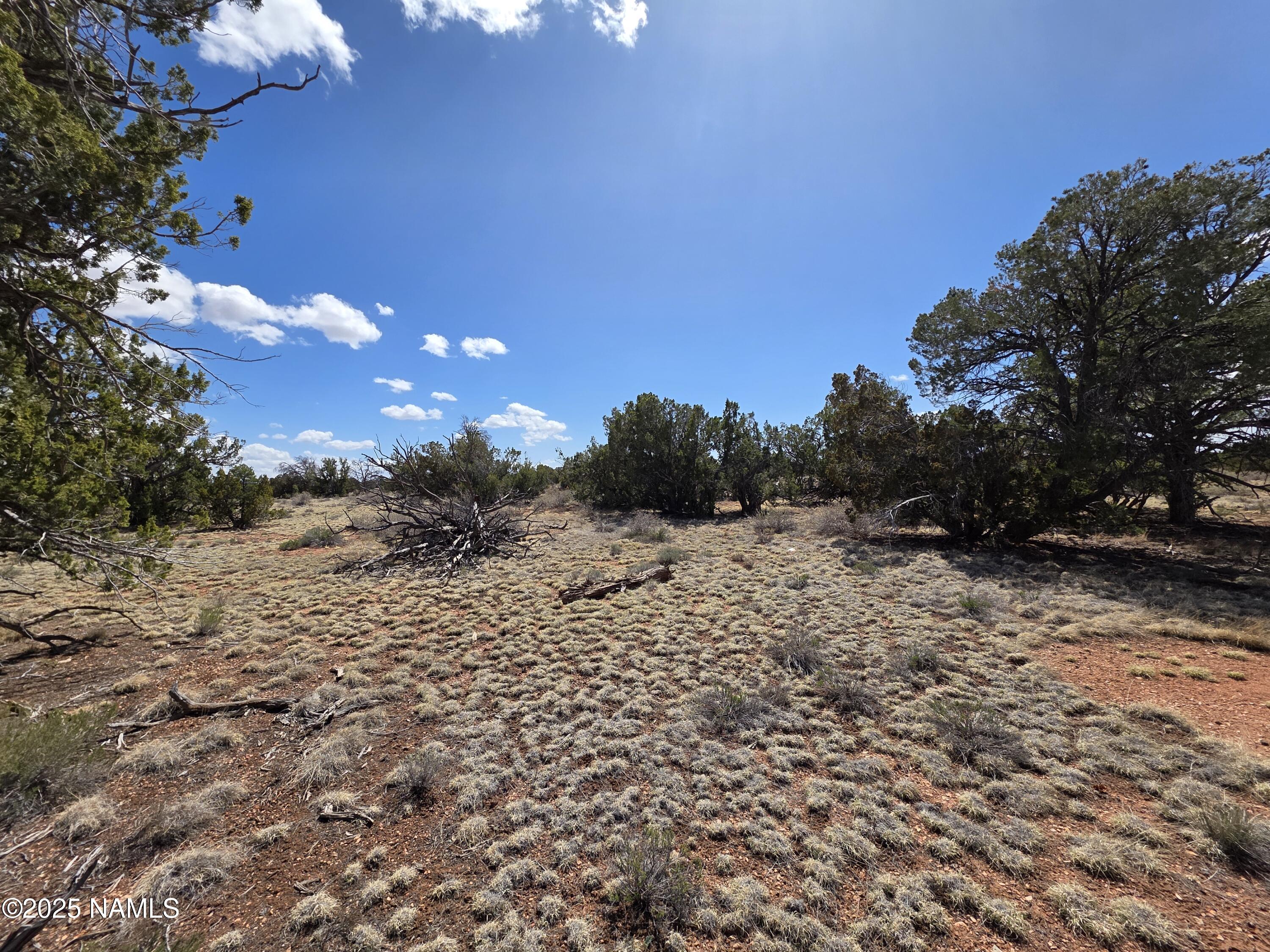 564 North Wyandotte Road Williams, AZ 86046 - Photo 11 of 17 a view of a yard with a tree