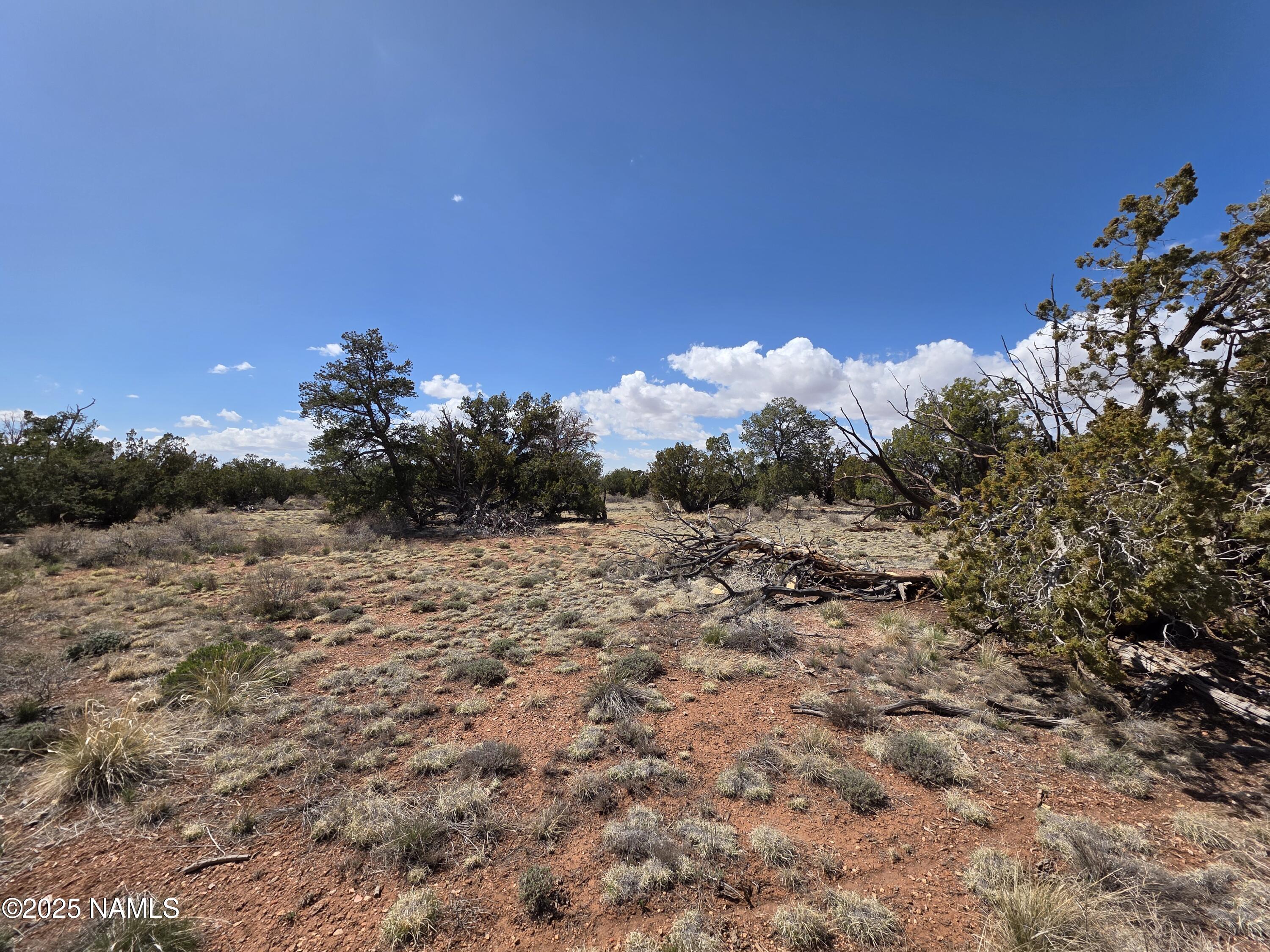 564 North Wyandotte Road Williams, AZ 86046 - Photo 15 of 17 a view of a yard