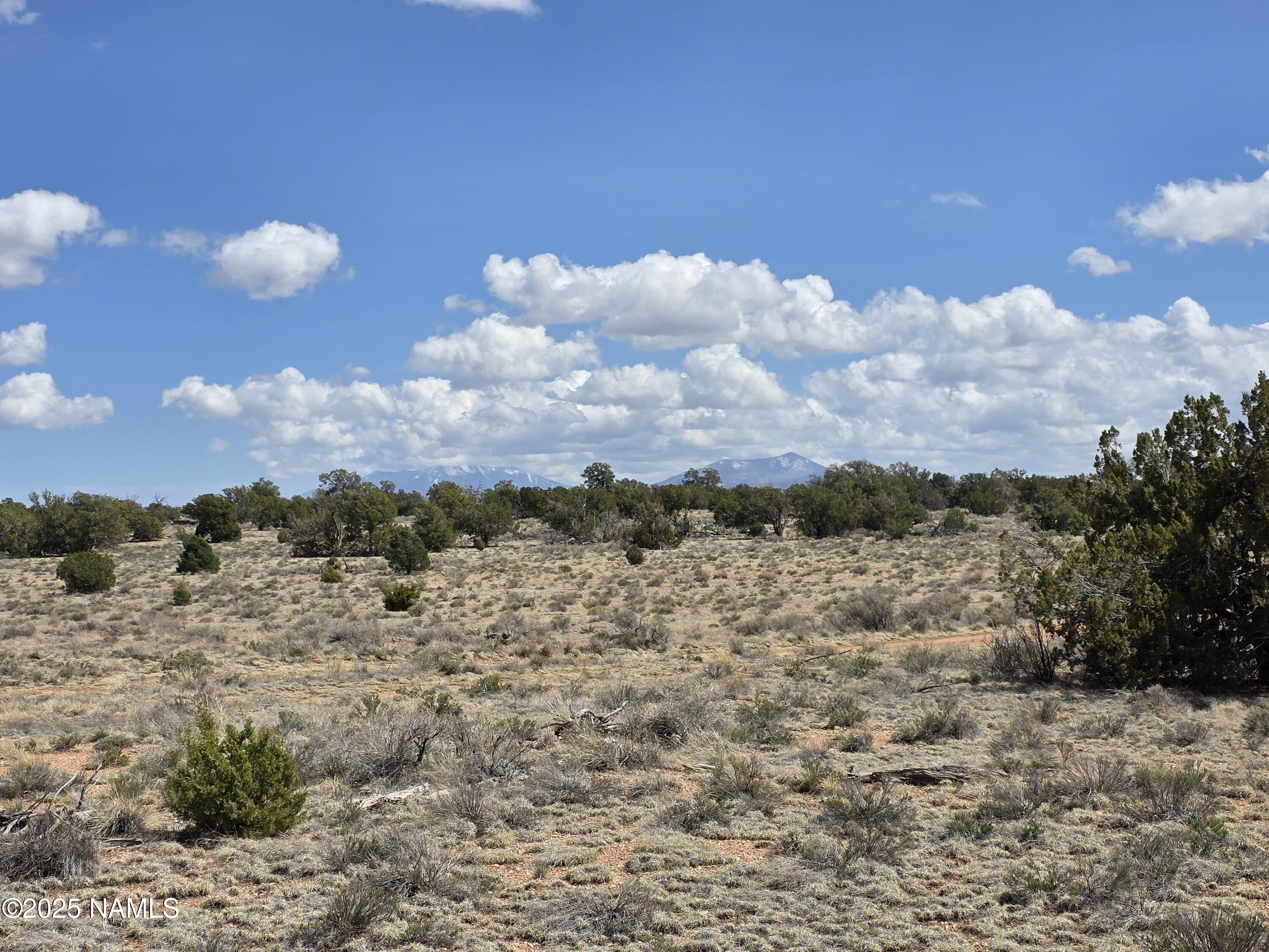 564 North Wyandotte Road Williams, AZ 86046 - Photo 17 of 17 a view of a sky