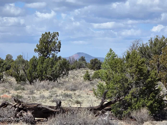 a view of a covered with trees in the background