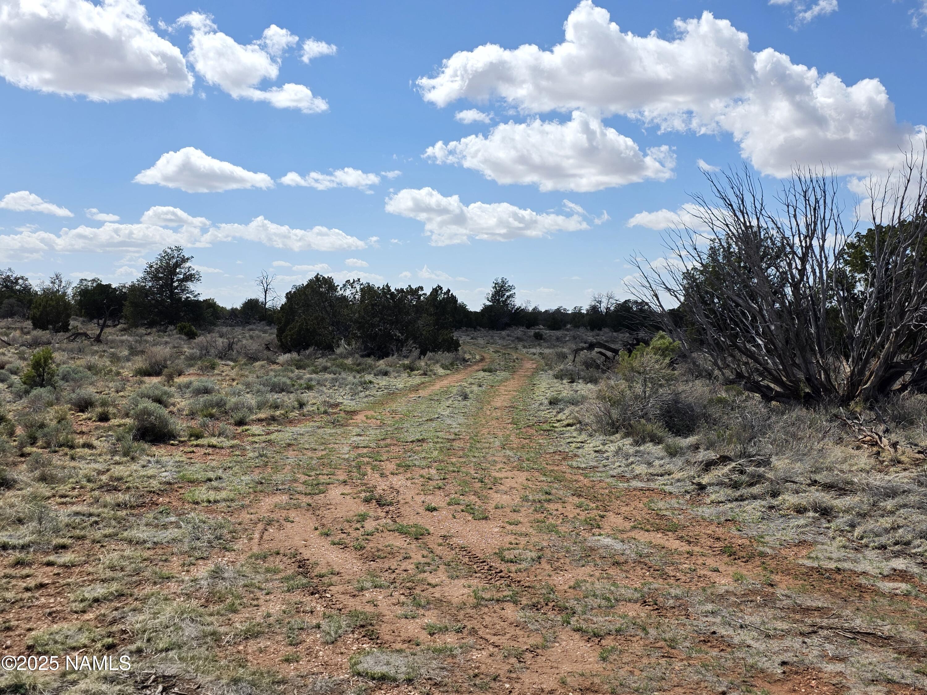 564 North Wyandotte Road Williams, AZ 86046 - Photo 4 of 17 a view of a dry yard with wooden fence