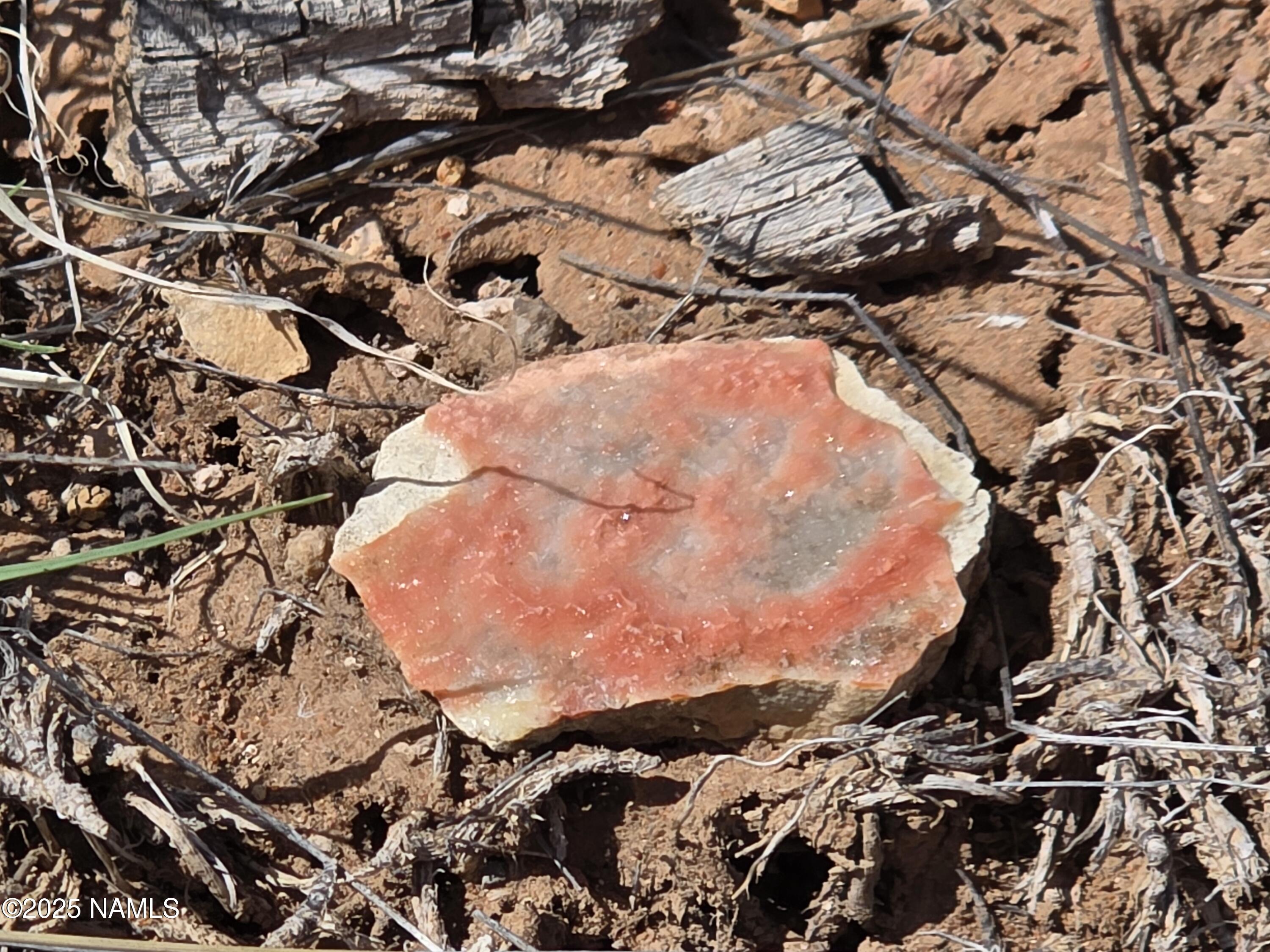 564 North Wyandotte Road Williams, AZ 86046 - Photo 5 of 17 a view of a tree