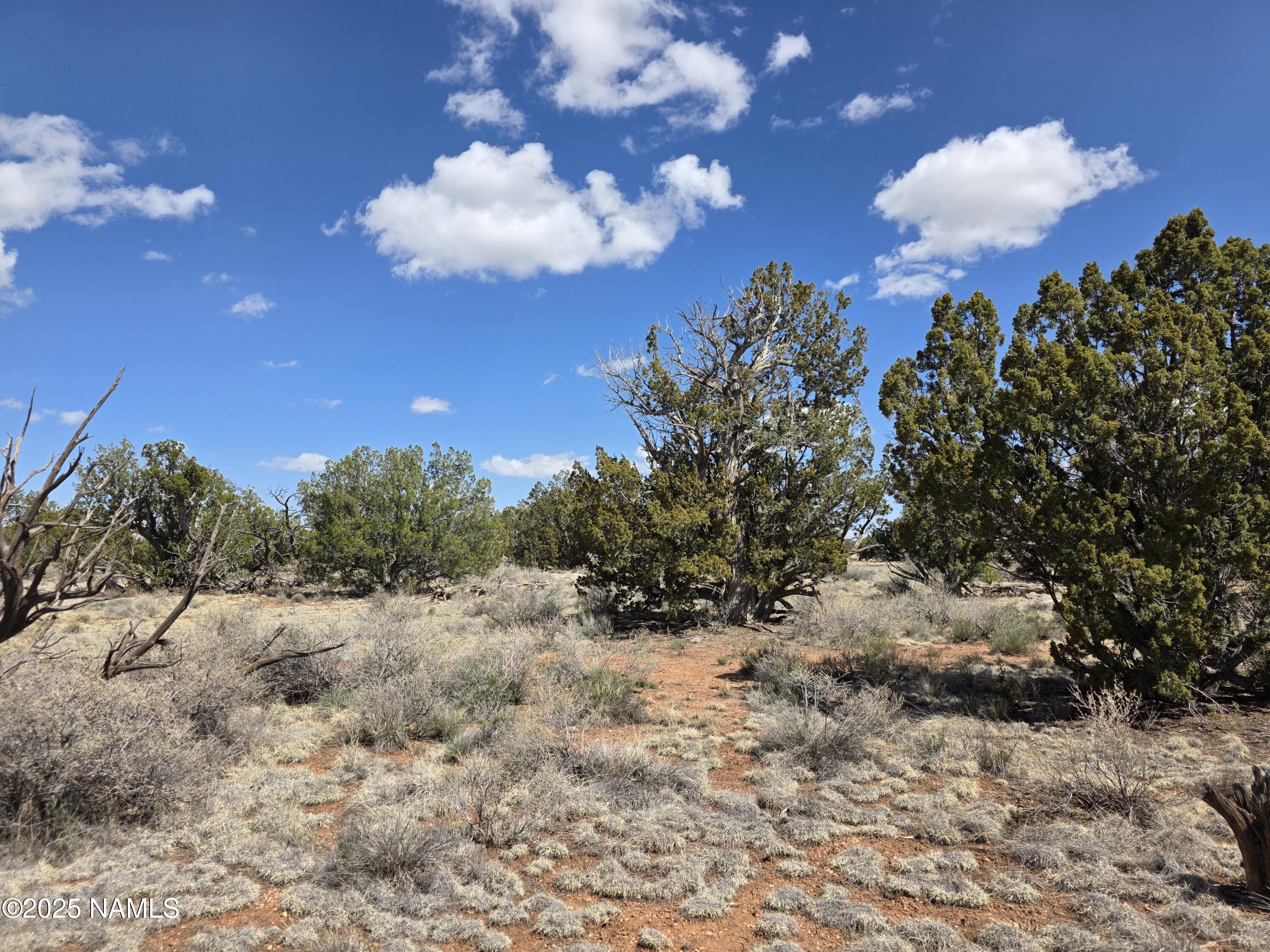 564 North Wyandotte Road Williams, AZ 86046 - Photo 8 of 17 a view of a dry yard
