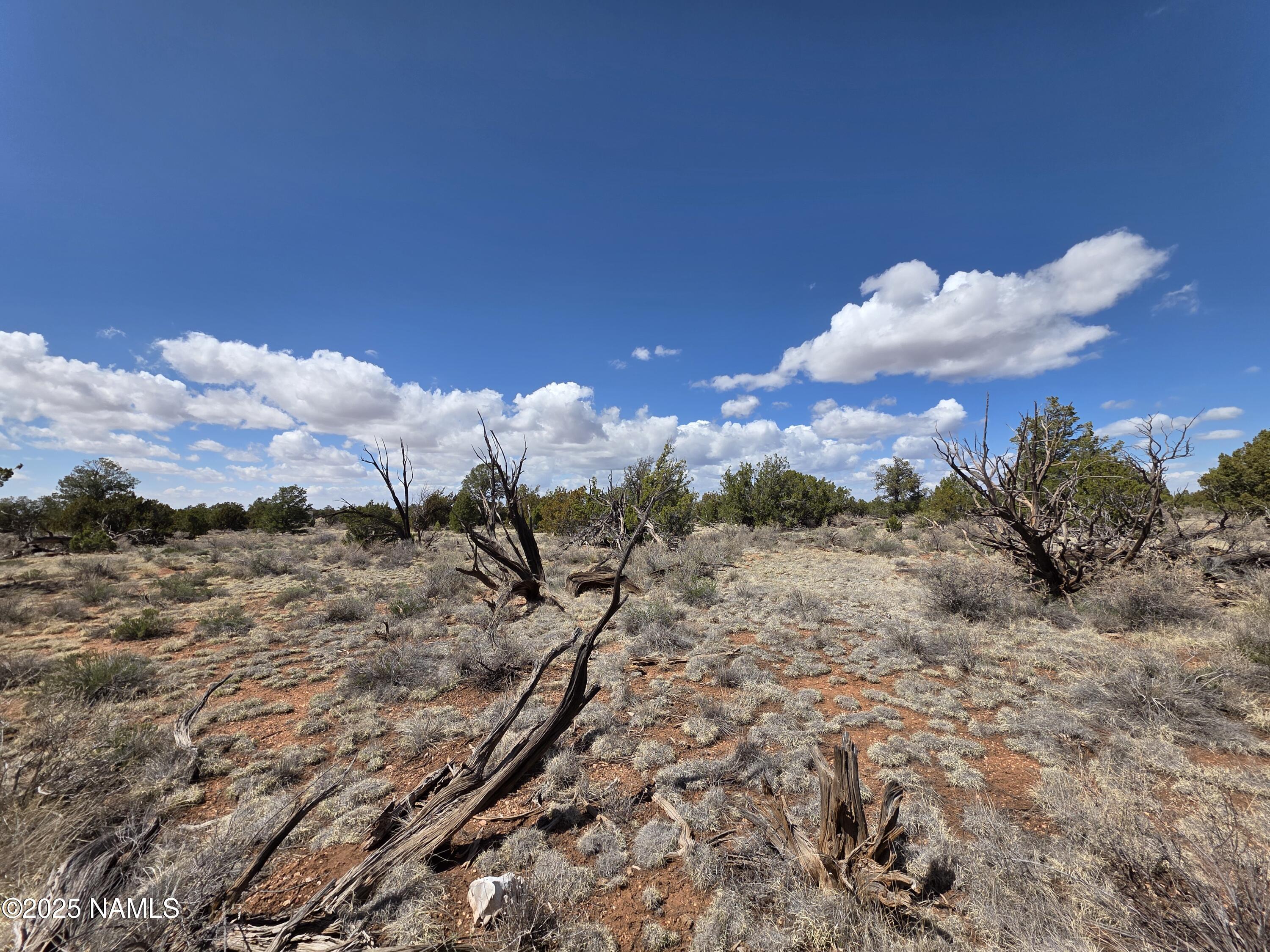564 North Wyandotte Road Williams, AZ 86046 - Photo 10 of 17 a view of a sky