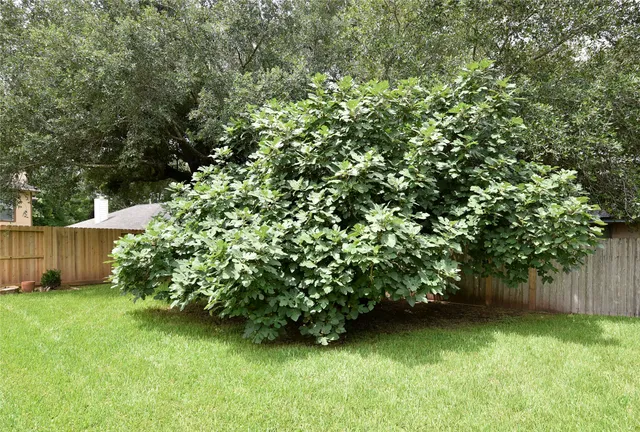 $2,400 | 3522 Pecan Point Drive, Sugar Land, TX 77478