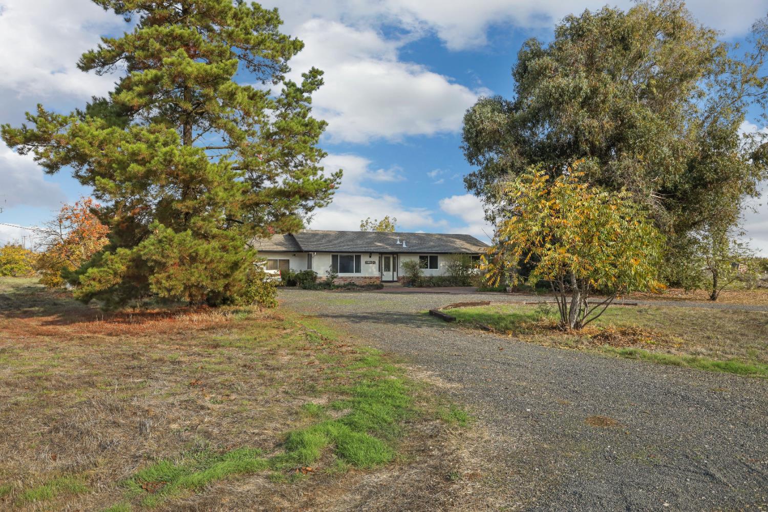 25523 East Groves Road Farmington, CA 95230 - Photo 12 of 65 a view of house with outdoor space and trees