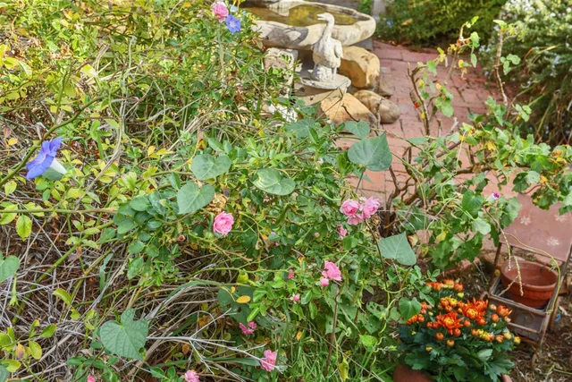 $749,500 | 25523 East Groves Road, Farmington, CA 95230