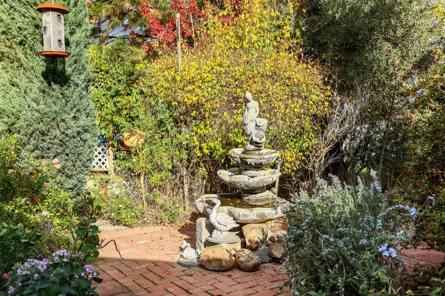 25523 East Groves Road Farmington, CA 95230 - Photo 62 of 65