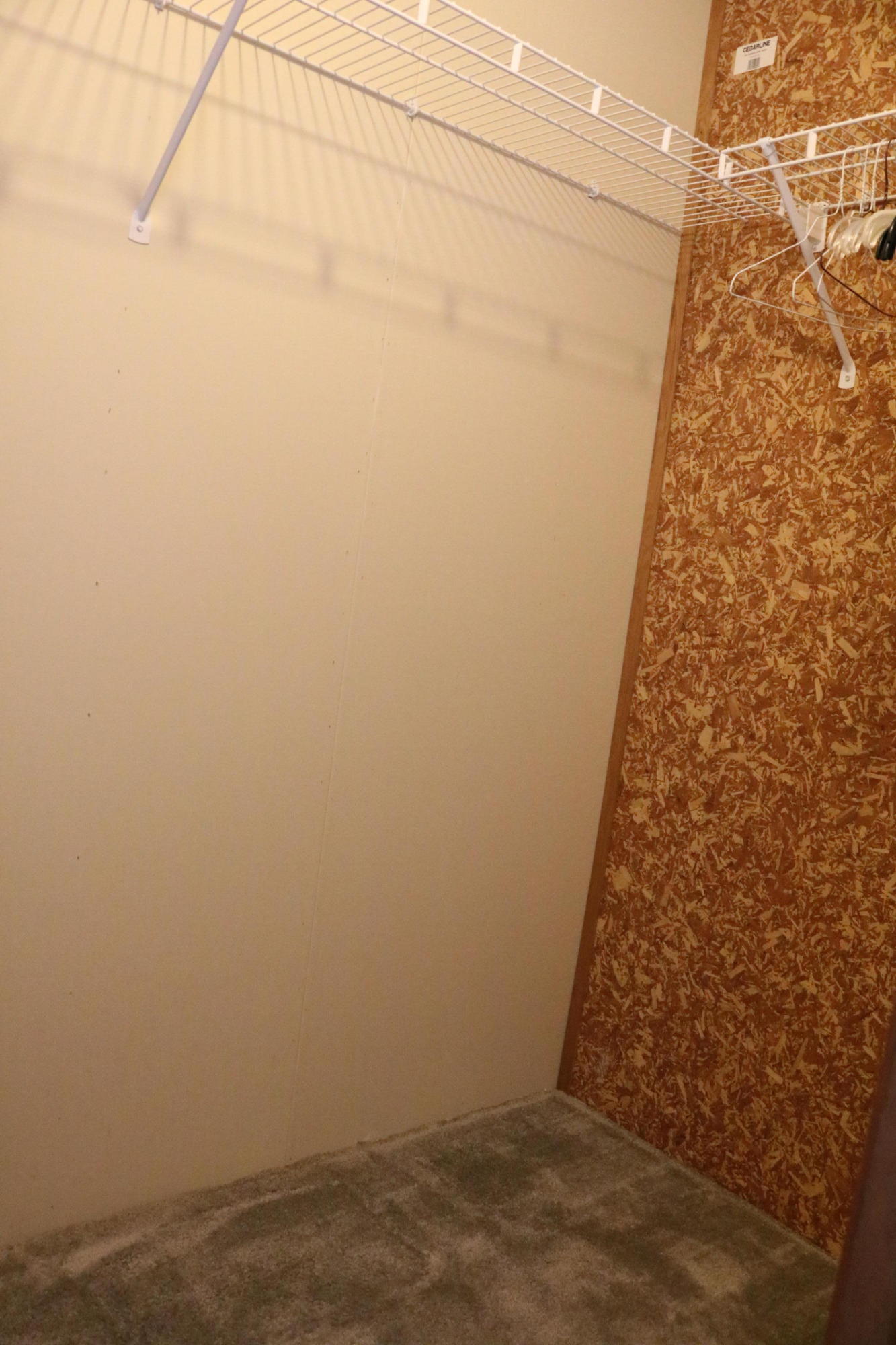 1625 Maple Ridge Road Walterboro, SC 29488 - Photo 12 of 62 IMG_4092