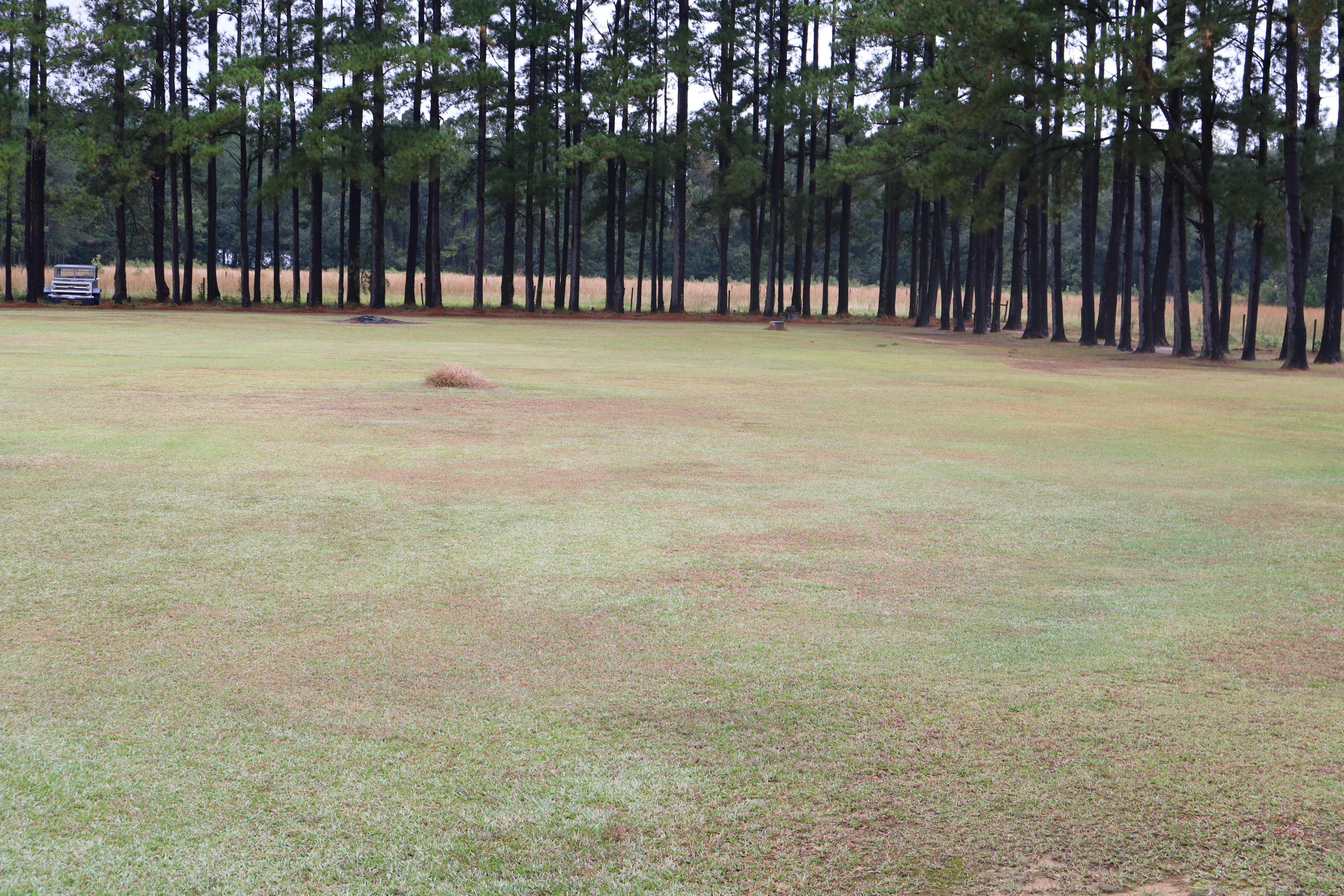 1625 Maple Ridge Road Walterboro, SC 29488 - Photo 35 of 62 IMG_4119