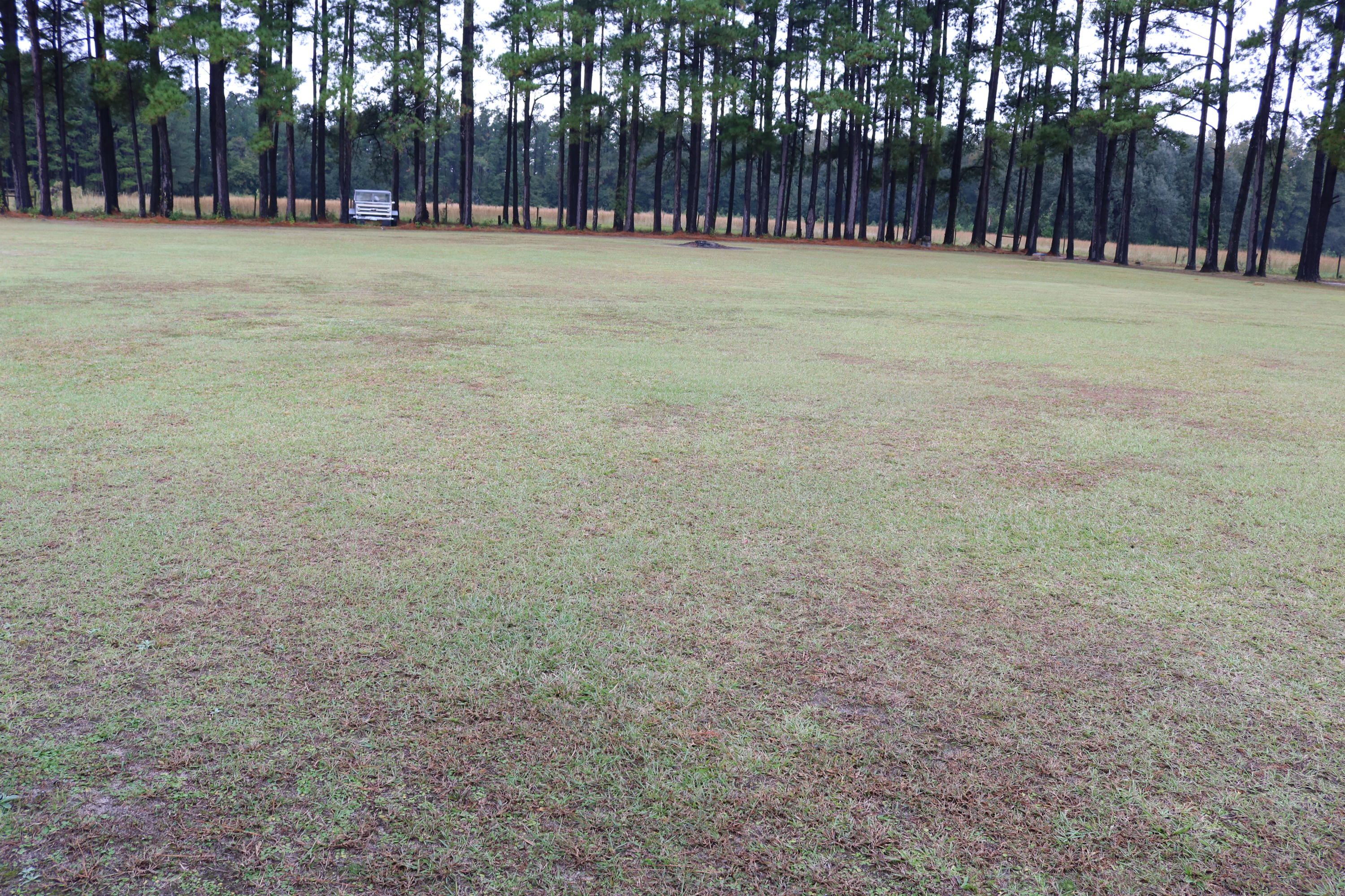 1625 Maple Ridge Road Walterboro, SC 29488 - Photo 46 of 62 IMG_4129