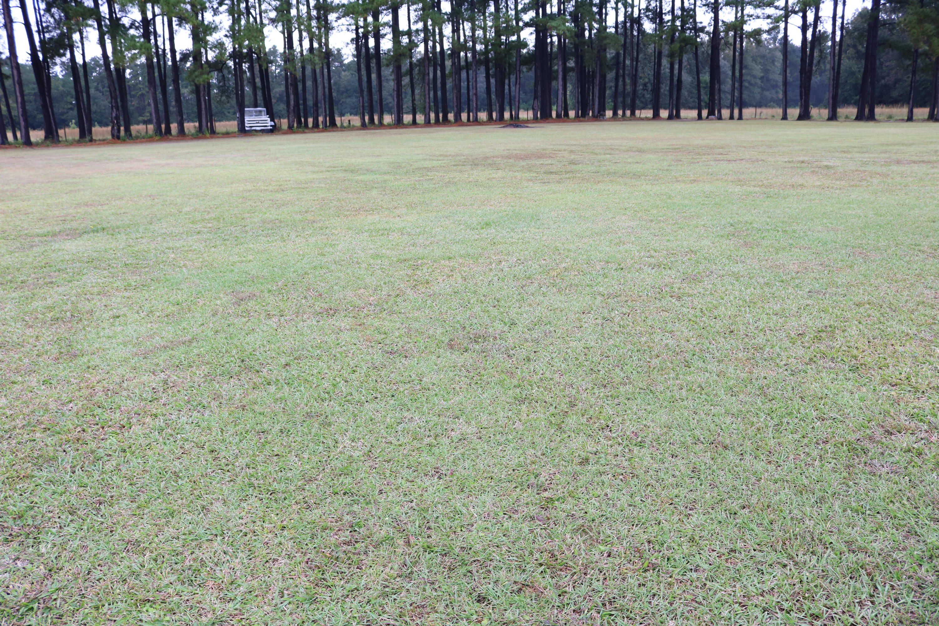 1625 Maple Ridge Road Walterboro, SC 29488 - Photo 47 of 62 IMG_4133