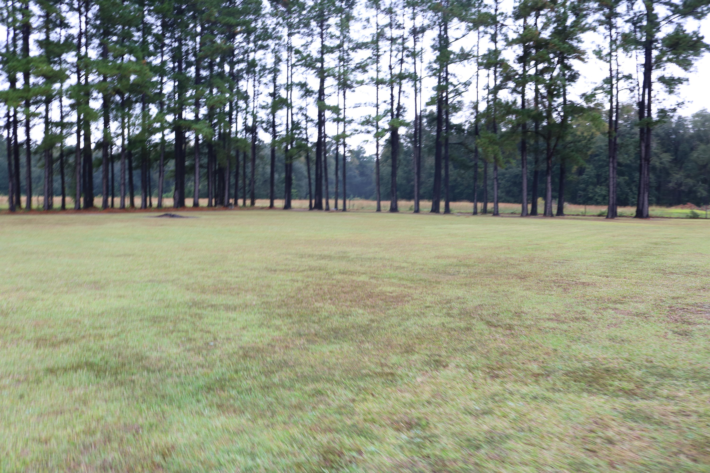 1625 Maple Ridge Road Walterboro, SC 29488 - Photo 48 of 62 IMG_4134