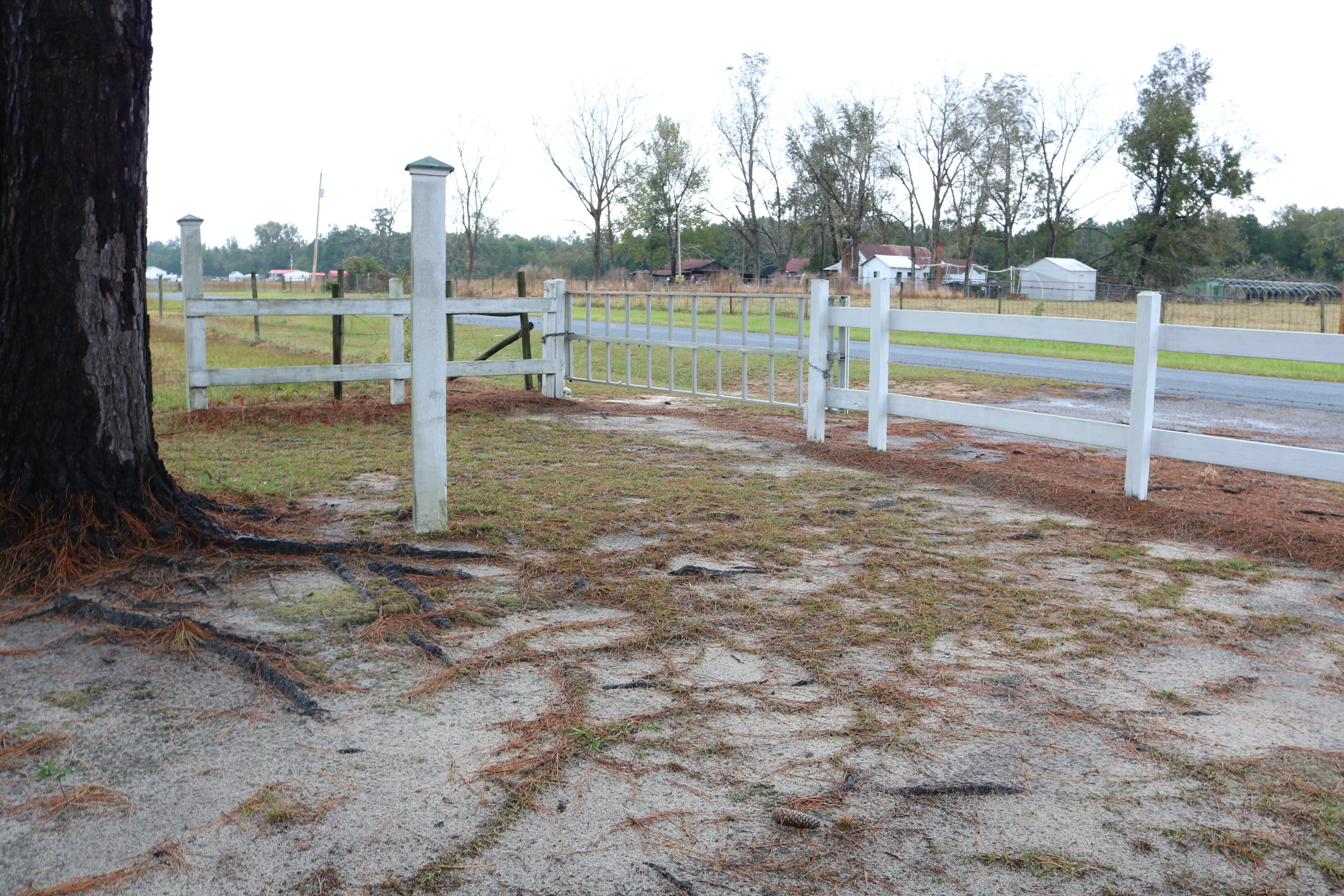 1625 Maple Ridge Road Walterboro, SC 29488 - Photo 52 of 62 IMG_4140