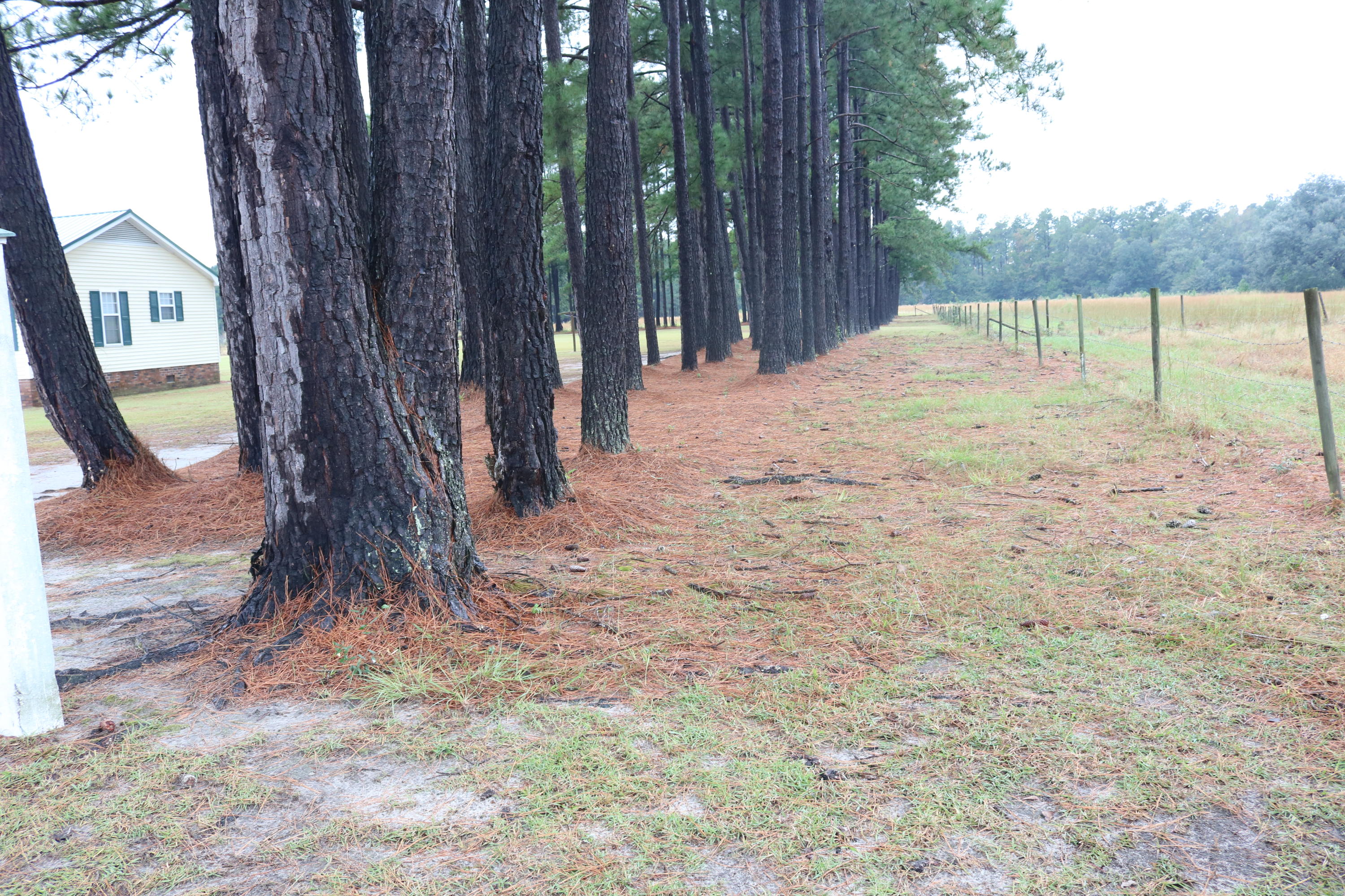 1625 Maple Ridge Road Walterboro, SC 29488 - Photo 56 of 62 IMG_4144
