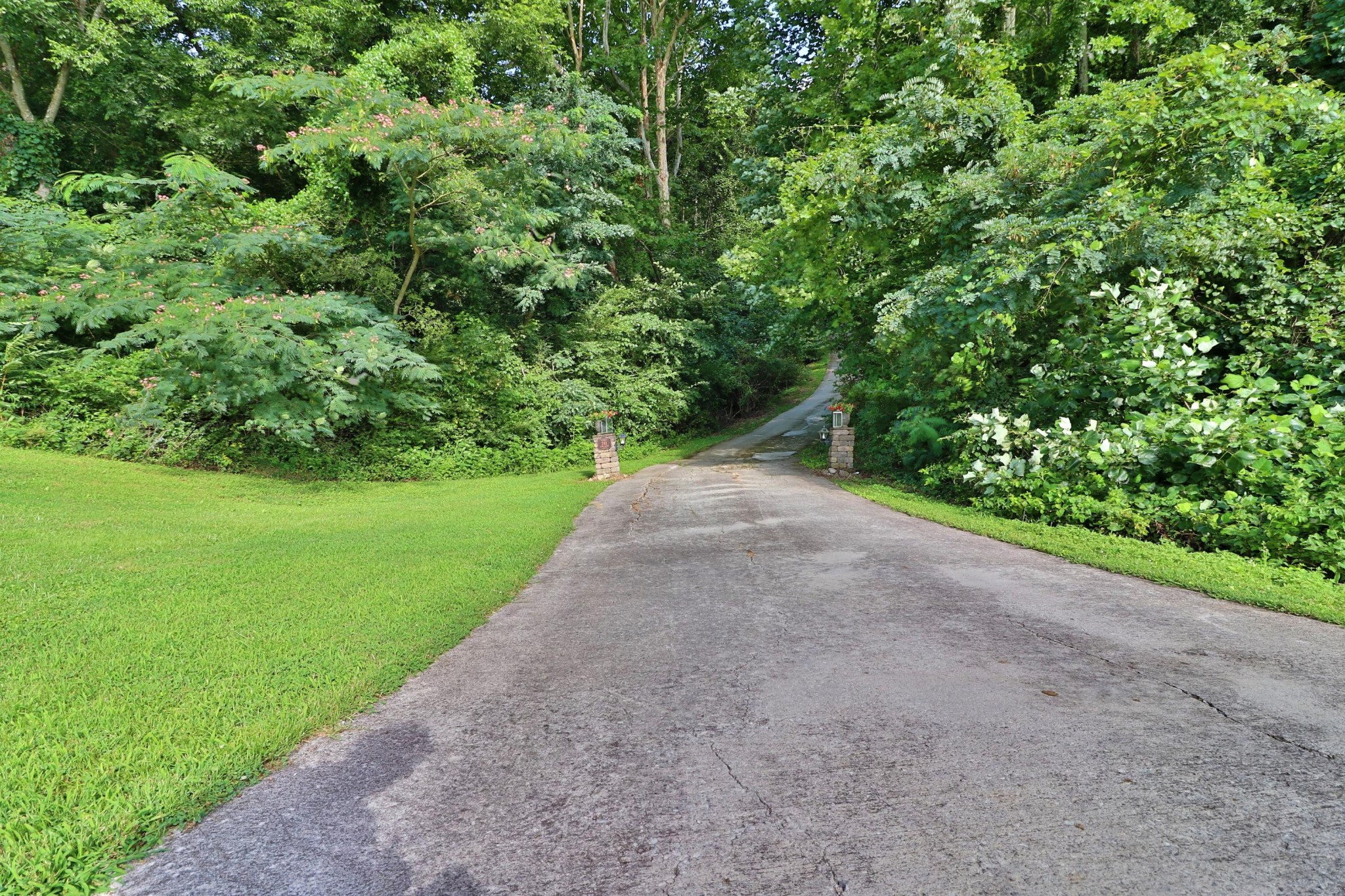 281 Lone Ridge Lane Clinton, TN 37716 - Photo 37 of 40 a view of a road with a yard