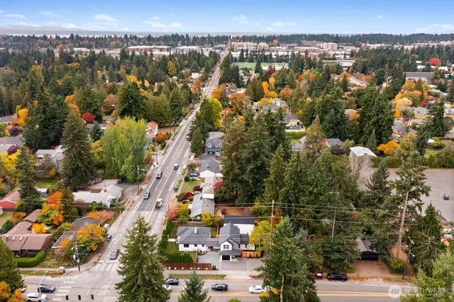 an aerial view of a house with a yard and a large tree