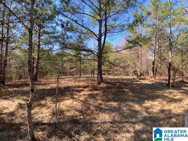 0 Jones Chapel Loop, Unit 15 / ACRES Springville, AL 35146 - Photo 6 of 10
