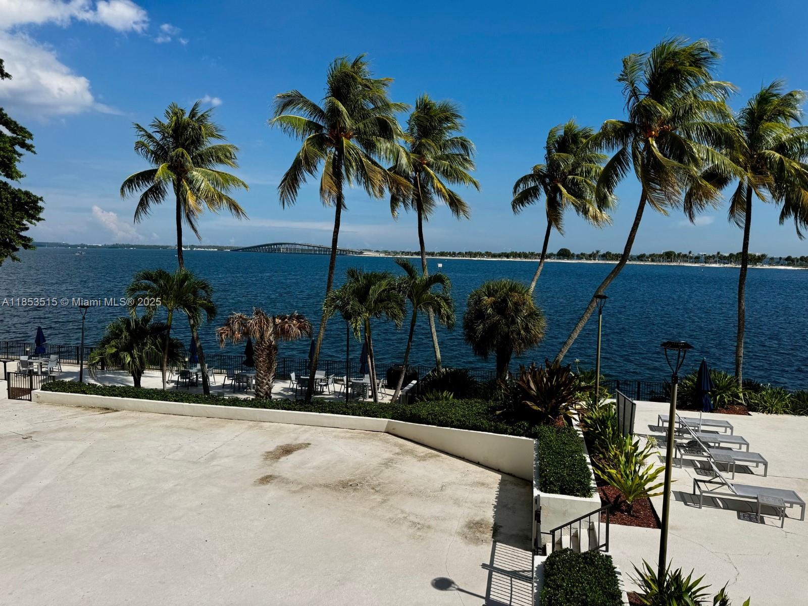 2333 Brickell Avenue, Unit 2607 Miami, FL 33129 - Photo 18 of 23 a view of outdoor space with palm trees