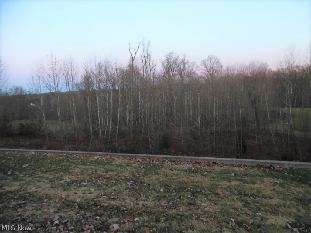 404 Summit Road Marietta, OH 45750 - Photo 15 of 16 Back yard view