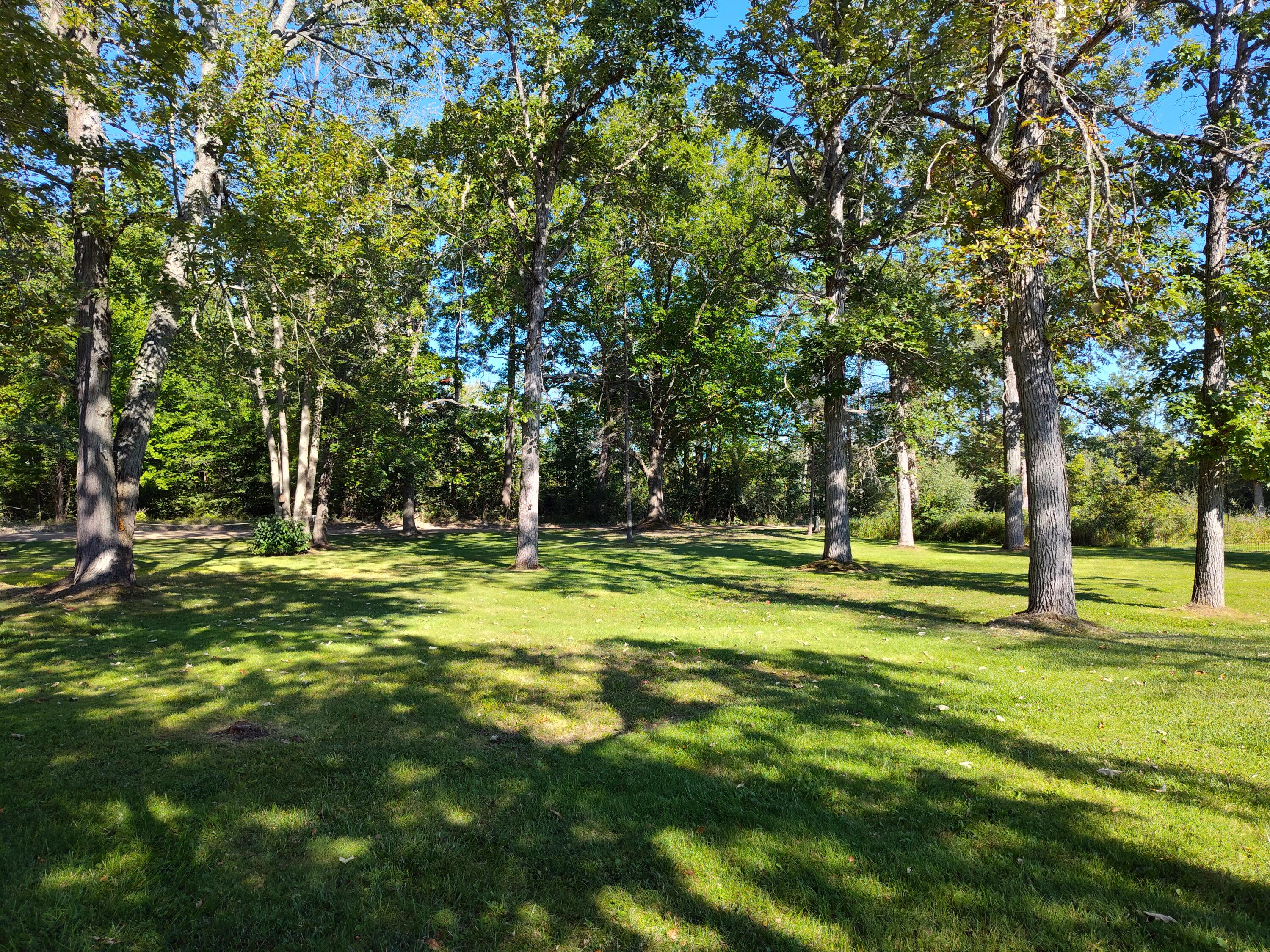 2251 Hemlock Road Quincy, MI 49082 - Photo 23 of 96 IMG_20250902_102058138_HDR