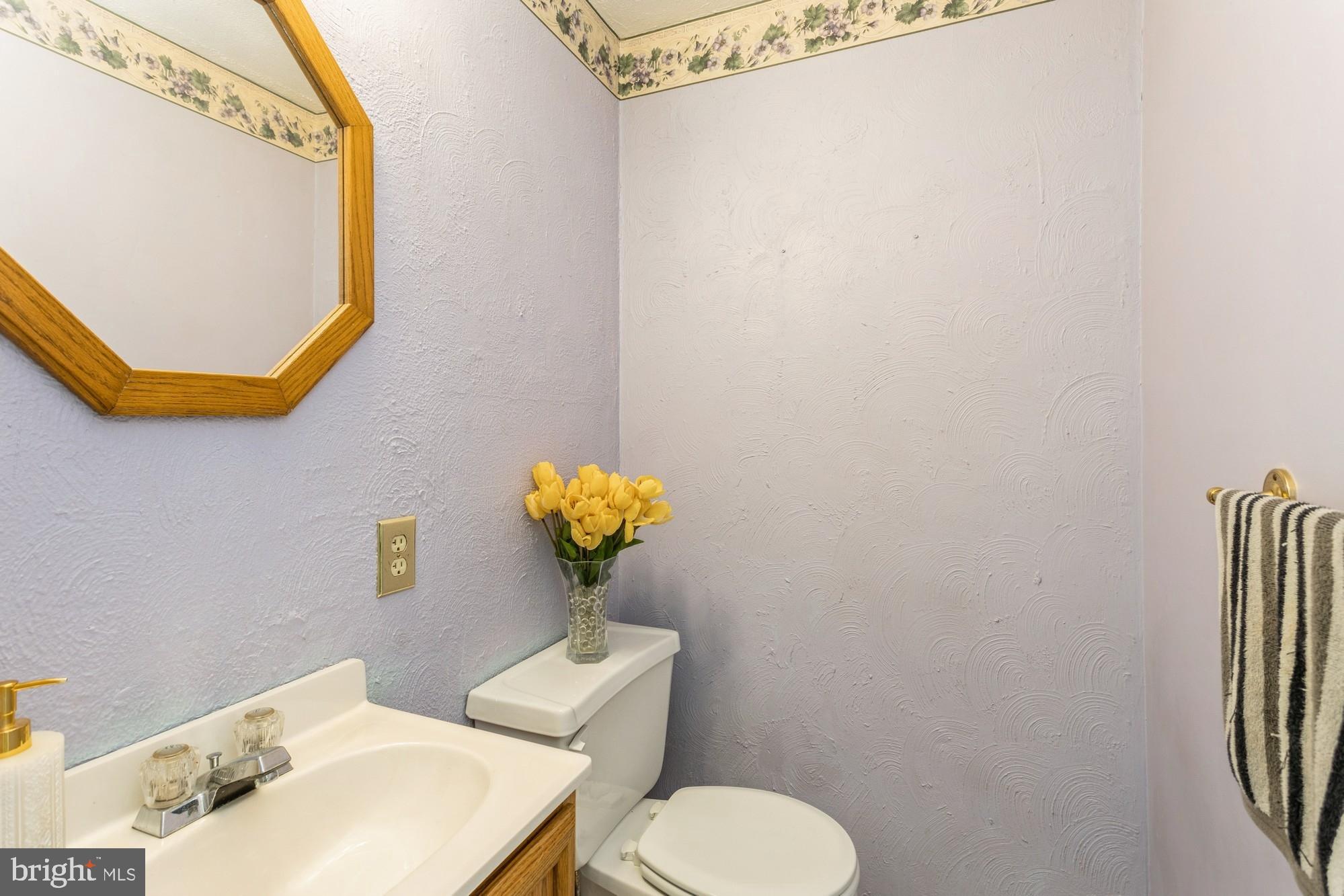 220 Drexel Drive Bel Air, MD 21014 - Photo 17 of 55 a bathroom with a sink and a mirror