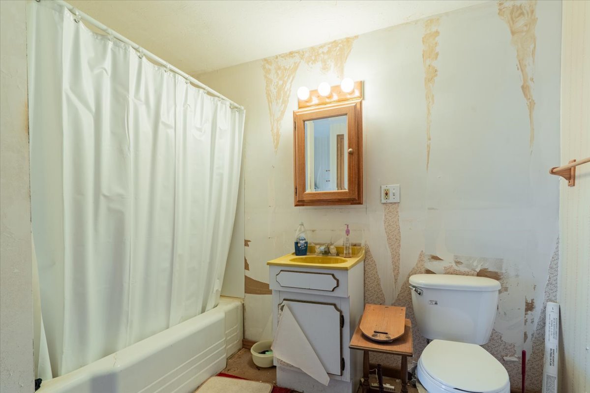 321 East 2nd Street El Paso, IL 61738 - Photo 26 of 37 a white toilet sitting next to a shower curtain