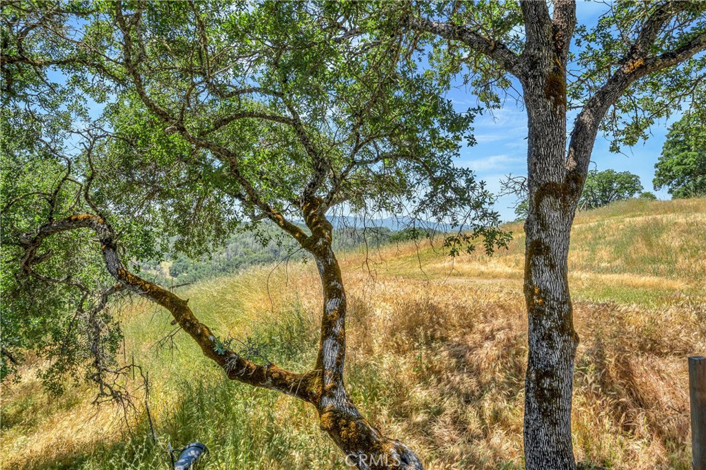 19511 Oak Haven Road Lower Lake, CA 95457 - Photo 26 of 50