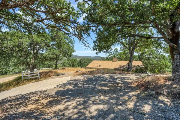 a view of a yard with a tree