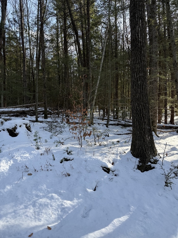 0 Four 4 Mile Brook Road Northfield, MA 01360 - Photo 5 of 11