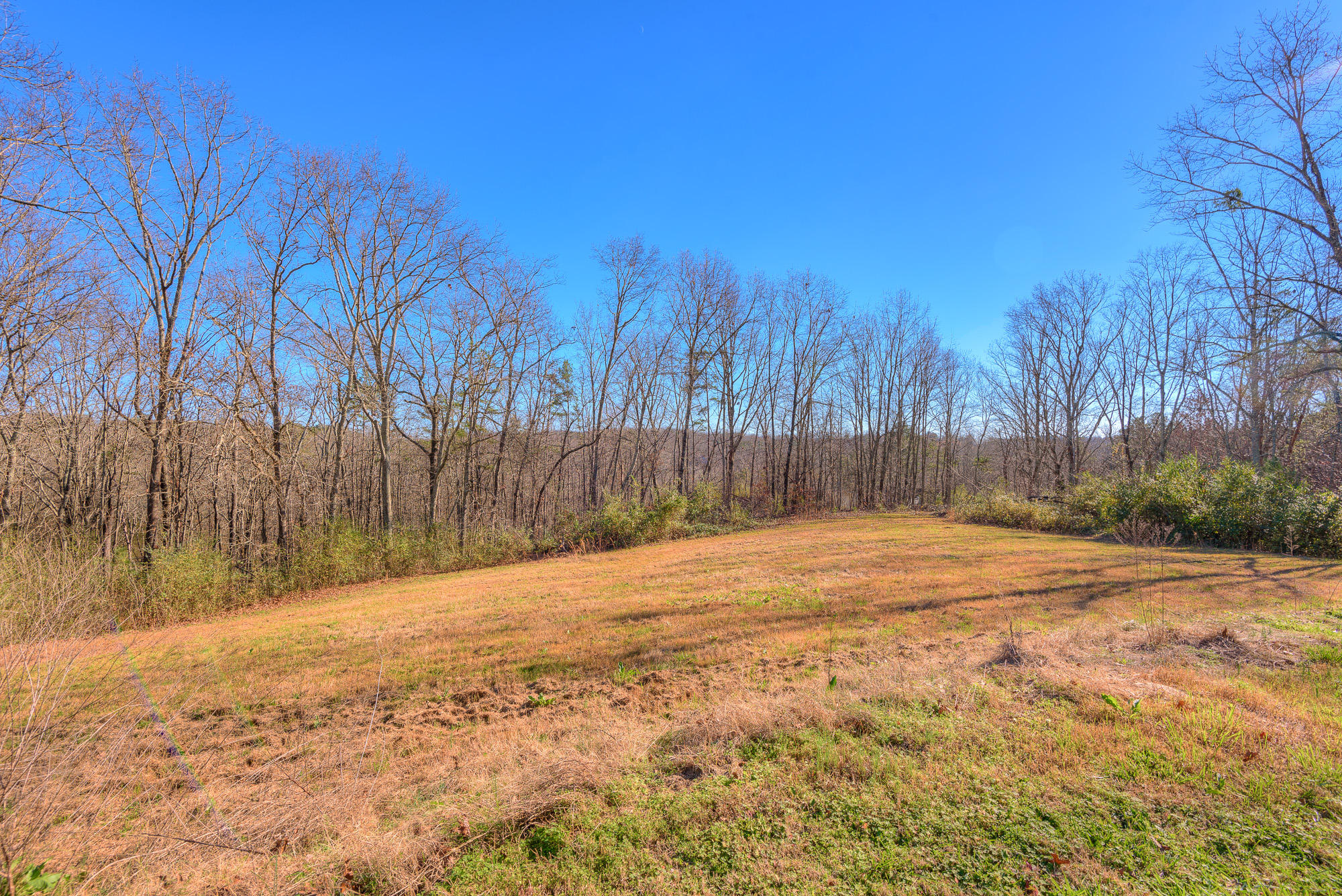 8826 Igou Gap Road Chattanooga, TN 37421 - Photo 33 of 34 xyard_2