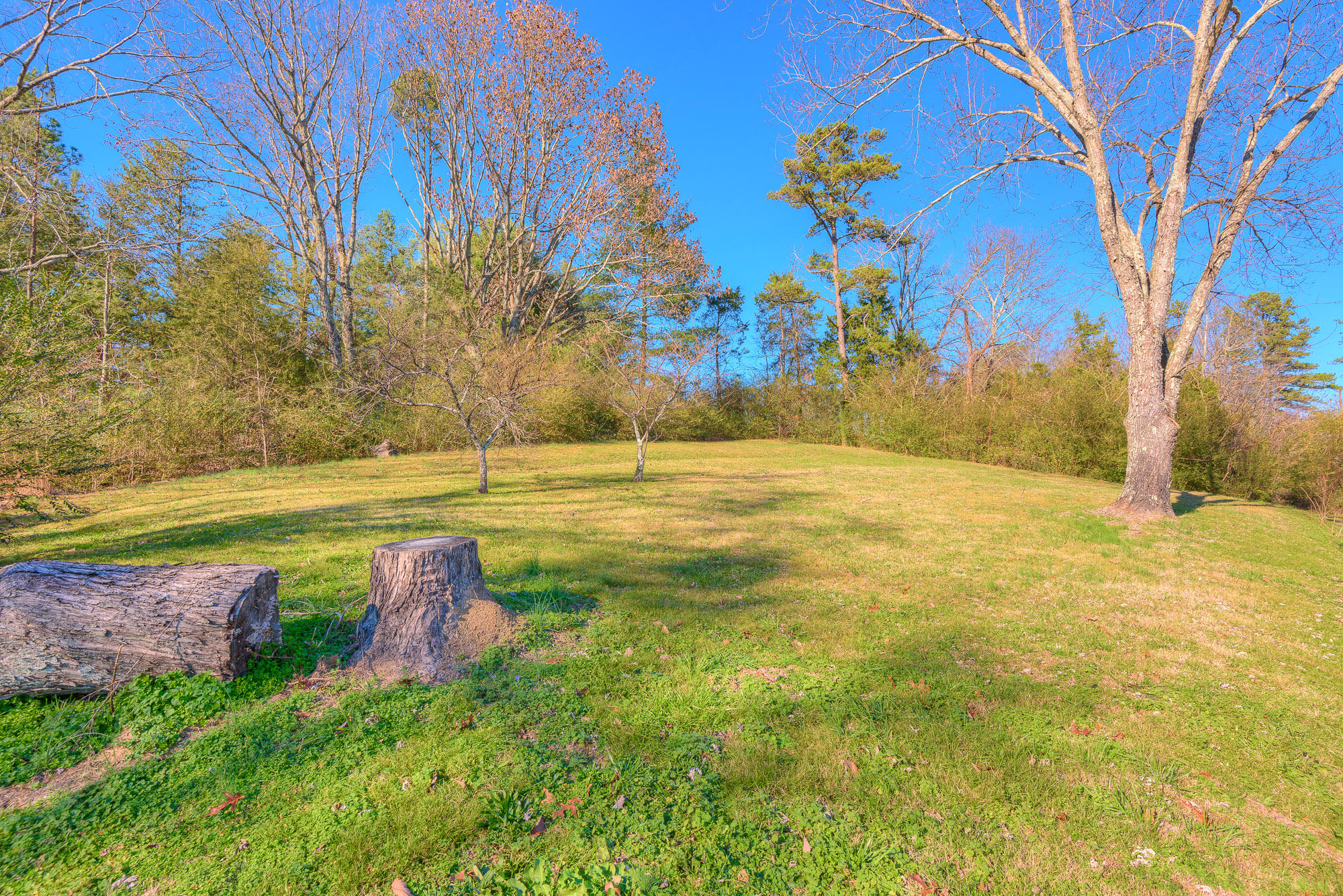 8826 Igou Gap Road Chattanooga, TN 37421 - Photo 34 of 34 xyard_3