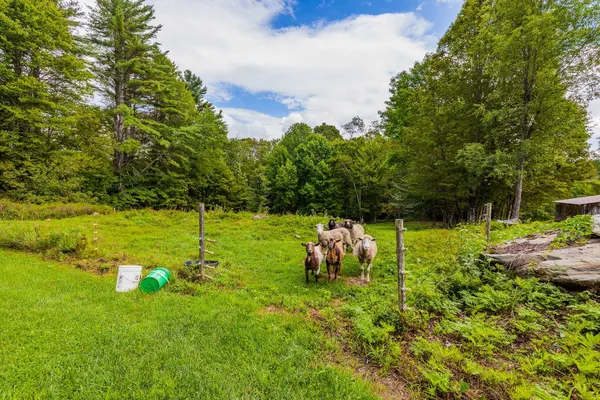 $949,000 | 157 Dartt Hill Road, Bethel, VT 05032