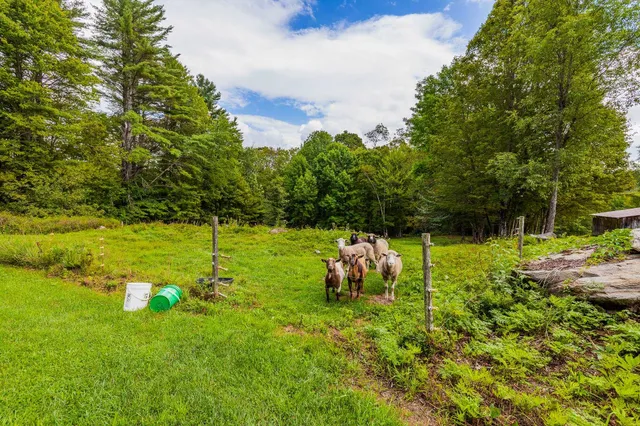 $949,000 | 157 Dartt Hill Road, Bethel, VT 05032