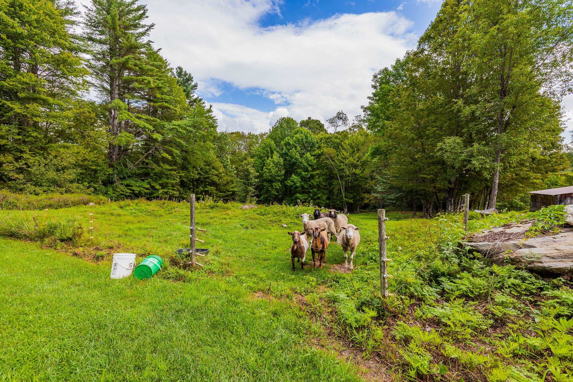 157 Dartt Hill Road Bethel, VT 05032 - Photo 48 of 55