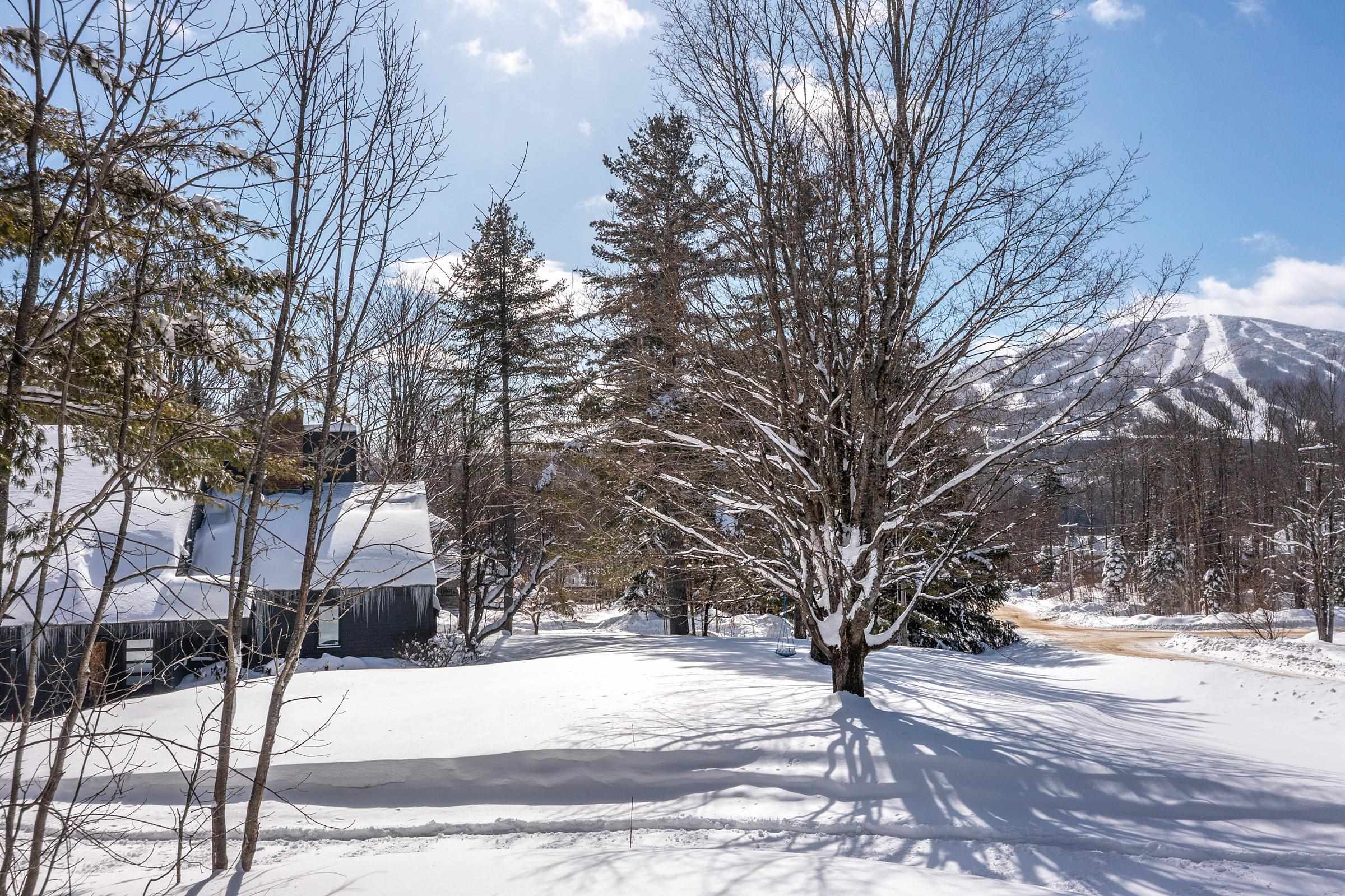 104 High Meadow Road Winhall, VT 05340 - Photo 3 of 56