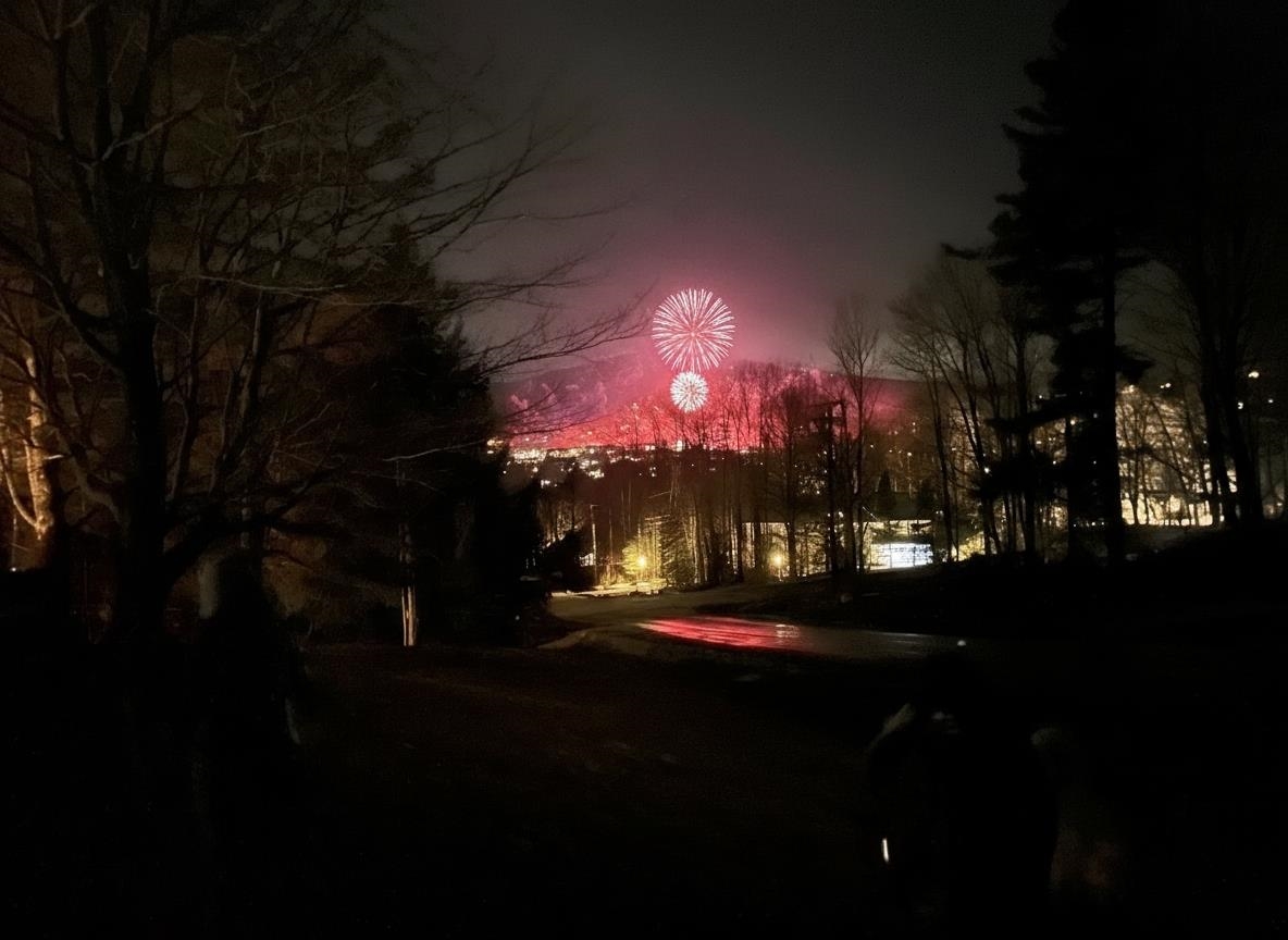 104 High Meadow Road Winhall, VT 05340 - Photo 54 of 56