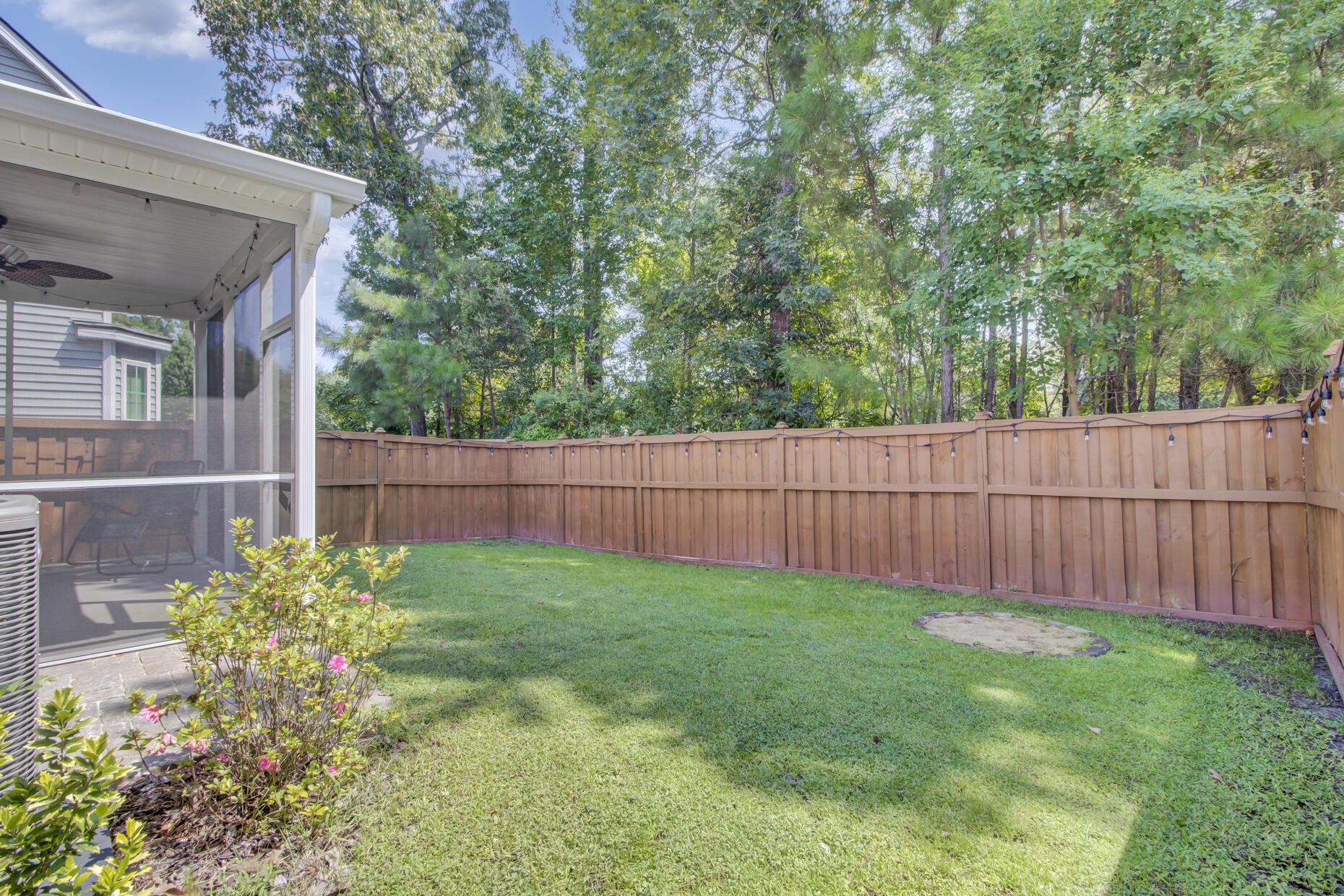 9012 East Cat Tail Pond Road Summerville, SC 29485 - Photo 15 of 29 Backyard