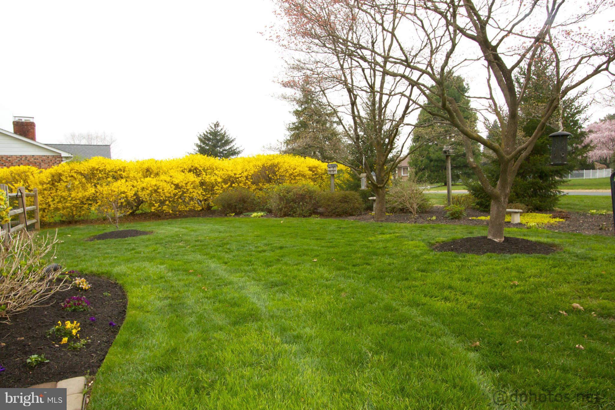 3015 Moores Road Baldwin, MD 21013 - Photo 29 of 30 View