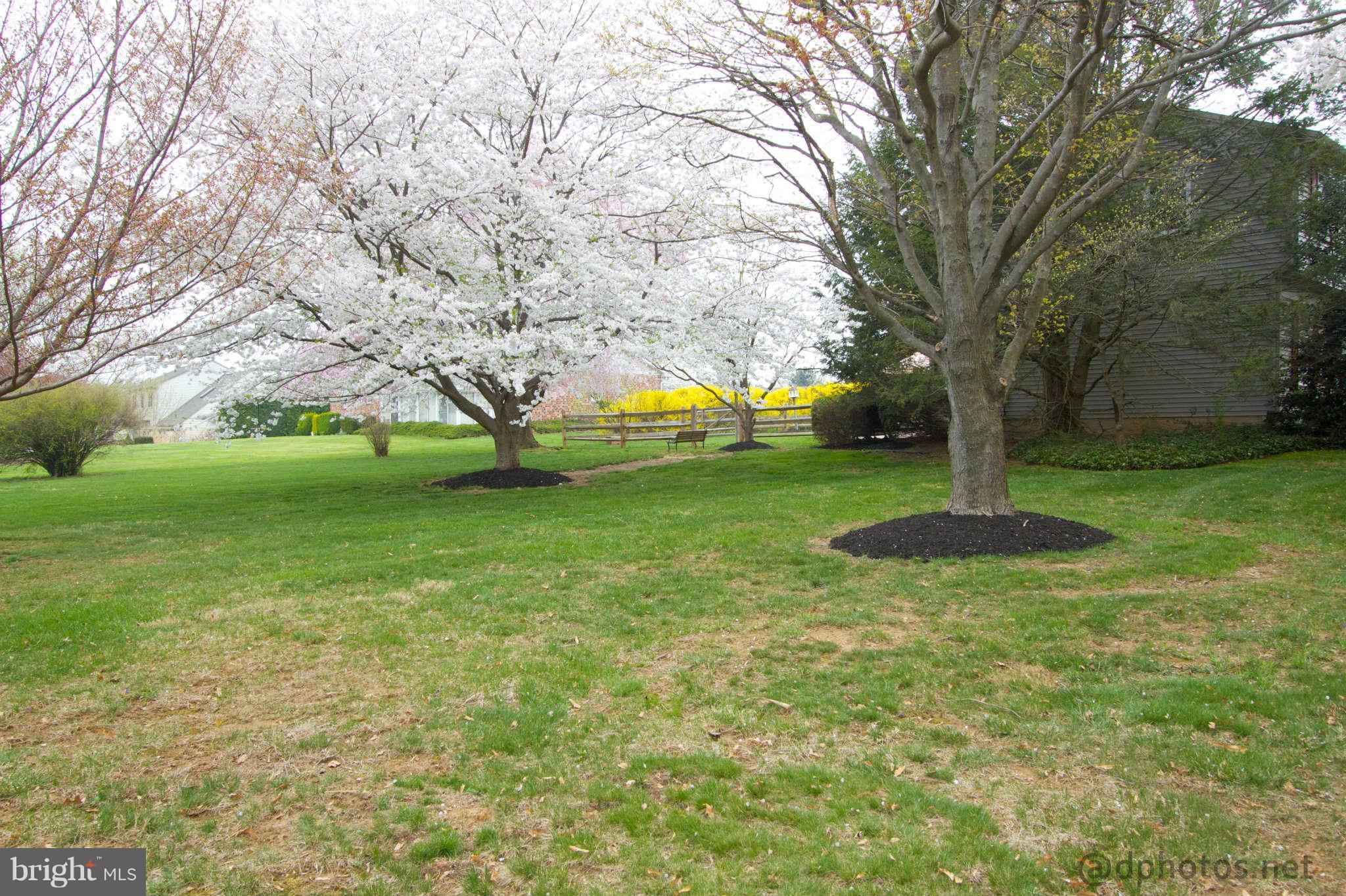 3015 Moores Road Baldwin, MD 21013 - Photo 30 of 30 View