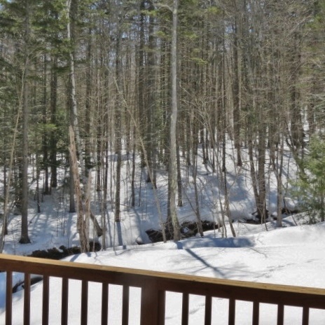 104 Lower Loop Ludlow, VT 05149 - Photo 2 of 40 Gallery Image 2